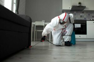 A close-up shot of a mattress seam being inspected by a person for signs of bed bugs.